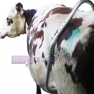 لگد گیر دام لگد گیر دام